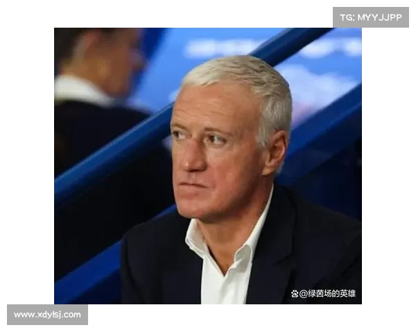 恩瓦内里崭露头角：足球新星的崛起与未来潜力探析